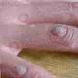 [��ƽ��]�ƶ� 24��-lni