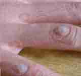 [��ƽ��]�ƶ� 24��-lni