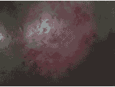 �����ഺ��Σ����-lni