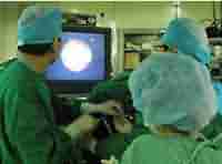 ����Ҹ��ҽ������Ҹ������-lni