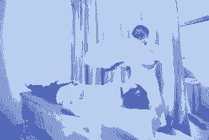 ���ݱ������θ���Ƥ��-lni