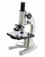 股癣是怎么生成的-lni