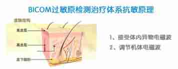 中西结合疗法治疗皮肤瘙痒效果就是好-lni