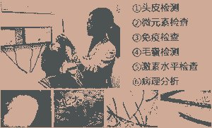 Ů���ѷ�����Ӧ����ô��-lni