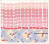 �������Դ��������ƺ϶�Ϊһ-lni