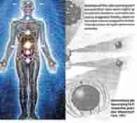 �������Դ��������ƺ϶�Ϊһ-lni