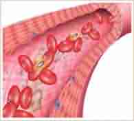 �������Դ��������ƺ϶�Ϊһ-lni