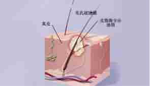 北大倡导科学祛痘 让青春不再有“痘”留-lni