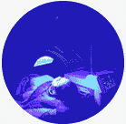 扁平疣越抓多,越抓严重-lni