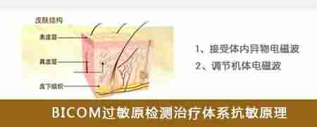 ����Ƥ������ ������������ѵ�ѡ��-lni