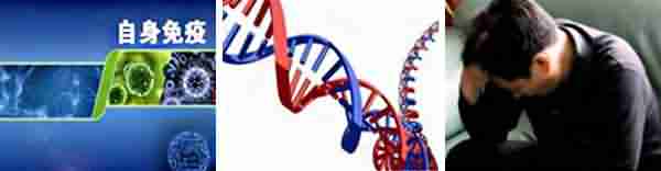 ���ݱ���ҽ������ͺ���Ĵ���-lni