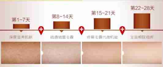 毛周角化的病因分析-lni