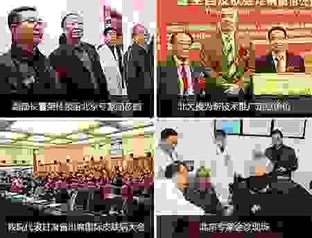 中医净血抗癣疗法 根治顽癣不复发-lni