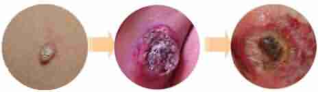 ����ҽ�����Ѱ���࣬�⡰�ࡱ���⡰�ǡ�!-lni