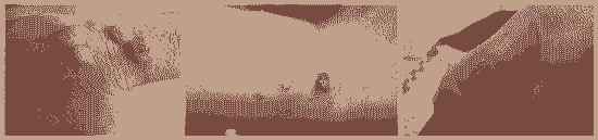 寻常疣应该怎样治疗-lni