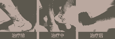 ݱƤר רҵʪ-lni
