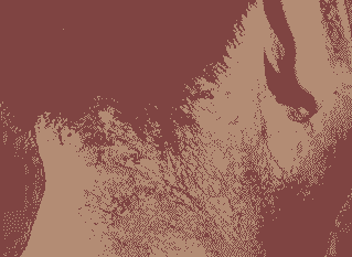֪Ƥ֢״緢ֺ-lni