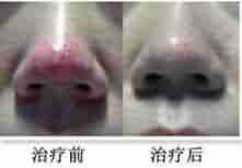 酒糟鼻对人体有什么样的危害-lni