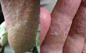 ������������Ѣ��Ҫ����Ǯ-lni